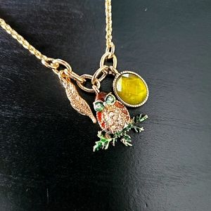 Napier Gold Tone Enamel Owl Charm Necklace